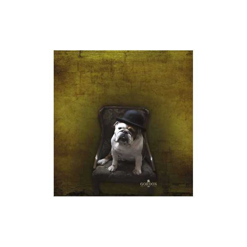 mantella da taglio Bull Dog