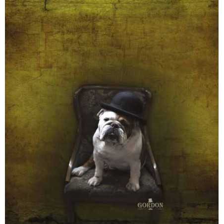 mantella da taglio Bull Dog