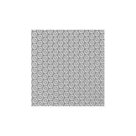 raspa per piedi da estetista