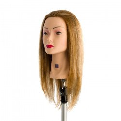 Testa studio 35 cm hd