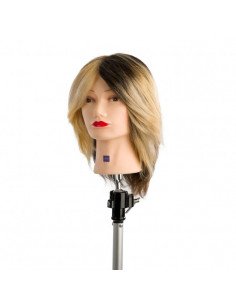 testastudio prova colore 4 sezioni