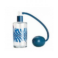 Spruzzino Vetro Professionale