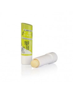 Burrocacao Zenzero...