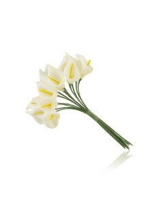 Tralcio Fiori per Capelli...